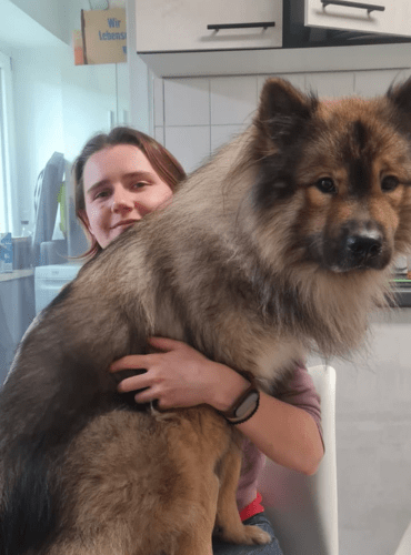 kiba+me24.12.2025 min